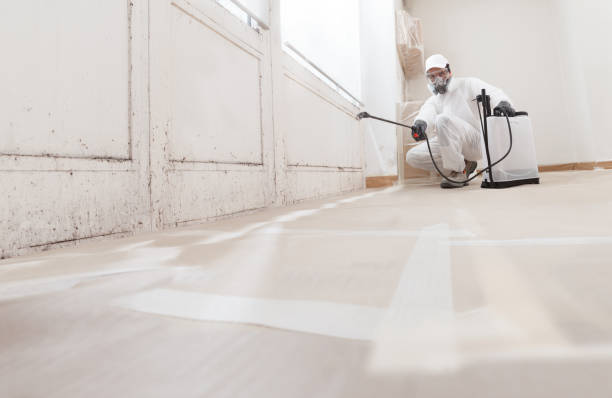 24/7 Emergency Attic Mold Removal experts in Waltham, MA
